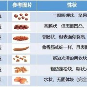 孕期大便臭（怀孕期间拉的屎像羊屎一样是什么回事）
