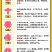 风险胎儿（胎儿风险标准是多少）