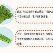 孕期卵磷脂（孕期卵磷脂）