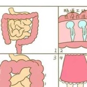 胎儿肠气（胎儿肠气干扰是怎么回事）