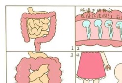 胎儿肠气（胎儿肠气干扰是怎么回事）