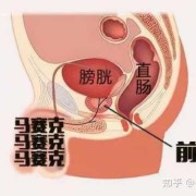 胎儿踢膀胱可爱图（胎儿踢膀胱正常吗）