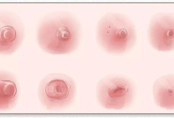 哺乳期怀孕还会有奶水吗,孕期乳分泌物正常吗