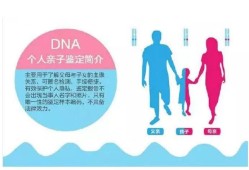dna亲子鉴定哪里可以做,胎儿亲子鉴定去哪做比较好