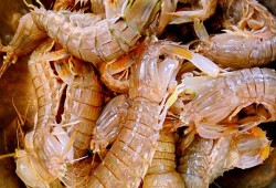 皮皮虾孕妇能吃吗,孕妇禁吃十大海鲜