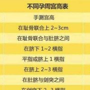 孕27周宫高30是宝宝太大了吗,宫高跟胎儿大小有关系吗