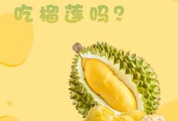 备孕期间可以吃榴莲吗（备孕期间可以吃榴莲吗女性）