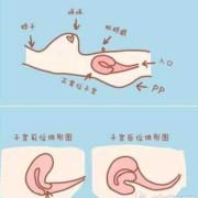 孕36周胎儿在子宫姿势是怎样的？快足月了，怎样产检合适呢,胎儿在子宫内急性缺氧初期表现为胎动
