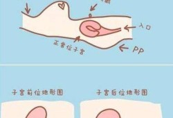 孕36周胎儿在子宫姿势是怎样的？快足月了，怎样产检合适呢,胎儿在子宫内急性缺氧初期表现为胎动