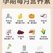 怀孕七八个月要多吃点什么食物好,怀孕8个月一9个月吃什么营养