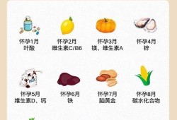 怀孕七八个月要多吃点什么食物好,怀孕8个月一9个月吃什么营养
