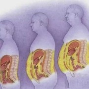哺乳期怎样消耗母体脂肪,胎儿会吸收母体脂肪吗知乎