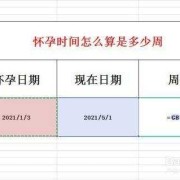 算怀孕期（算怀孕期是从月经的第几天算?）