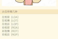 胎儿右枕位（胎儿右枕位是什么姿势）