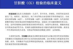 孕期甘胆酸（甘胆酸CG什么意思）