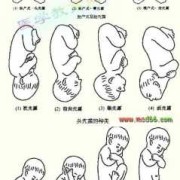 孕30周，胎儿头位低是什么意思呢，有什么影响,