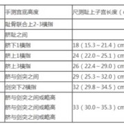 新生儿头围腹围哪个大,胎儿腹围是哪个部位