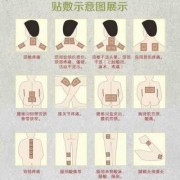 孕期能贴膏药吗（怀孕能不能贴膏药啊）