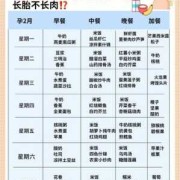 怀孕期食谱（孕期的食谱）