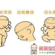 hc是胎儿的什么（胎儿hc什么意思）