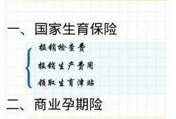 孕前适合买什么保险,备孕 保险