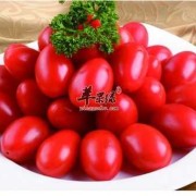 孕期吃小番茄好吗（孕期吃小番茄好吗有营养吗）