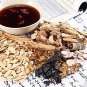 备孕期间能喝中药吗（备孕期间能喝中药吗女性）