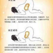 胎儿胎位什么时候固定（胎儿胎位什么时候固定）