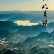 怀孕期间分泌物呈青色（白带黏稠像鼻涕青绿色是正常的吗）