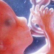 宝宝在肚子里打嗝感觉是什么样的,胎儿打嗝什么感觉孕22周