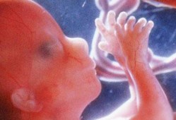 宝宝在肚子里打嗝感觉是什么样的,胎儿打嗝什么感觉孕22周