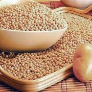 孕妇吃什么豆类最好,孕期吃黄豆的好处
