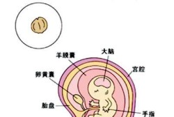 胎儿小3周（胎儿小3周会不会有问题）