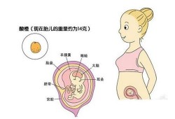刚怀孕几天是什么症状,怀孕期反应厉害是男是女