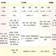 孕期反应时间（孕期反应时间表）