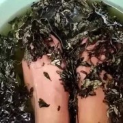 怀孕初期可以泡脚吗,怀孕期间可以泡脚吗艾叶泡脚吗