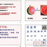 染色体对胎儿的影响（染色体对胎儿的影响发生时间）