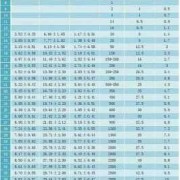 胎儿92双（胎儿双顶92mm有多少斤）