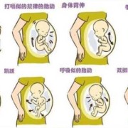 孕期孩子头大是什么原因,孕期胎儿头大怎么办