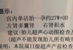 胎儿右肾较左肾体积明显缩小，对小孩有无影响,胎儿左肾小会长起来吗