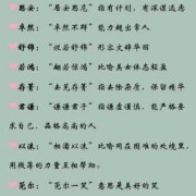 双胞胎儿子起名（哪位朋友能给双胞胎起名子啊，带成语的名字，是男孩，谢谢）