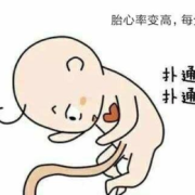 什么情况会导致胎儿缺氧（什么情况下胎儿会缺氧）