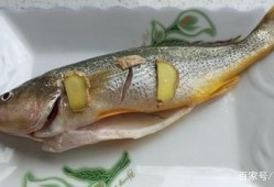 孕期吃鱼好吗（孕妇吃鱼的最佳做法）