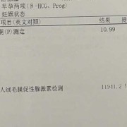 尿酮体高胎儿会傻吗（尿酮体高胎儿会傻吗）