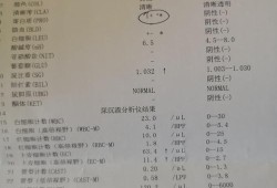 孕期尿蛋白（孕期尿蛋白1+正常吗）