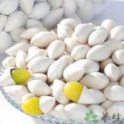 孕期吃白果（孕妇吃了白果怎么办？孕妇过多食用白果对胎儿有什么危害）