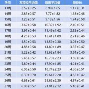 看胎儿大小（看胎儿大小根据什么数值）