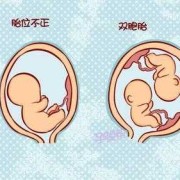 孕一百天男胎儿高清图（怀孕一百天胎儿图片男孩）
