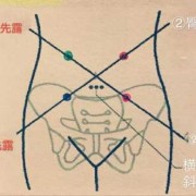 怀孕16周听胎心在哪个位置？是在阴毛上面一点部位吗,16周孕妇标准的肚子图