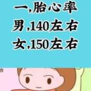 胎儿心率150是男孩女孩（心率150正常吗）